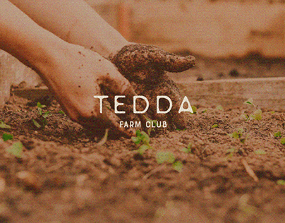TEDDA FARM CLUB