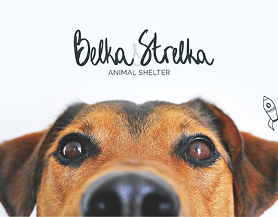 Web Design for Belka&Strelka animal shelter