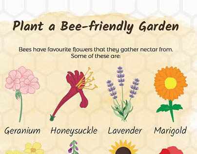 Save the Bees! - Children's infographic booklet