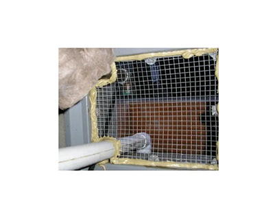 Rodent Proofing in Oakland and Walnut Creek, CA