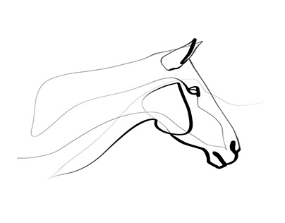 Equine With One Line | Part I