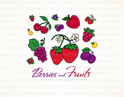 Fruit and berry illustrations
