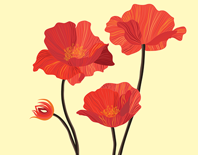 Poppies Flower Pattern