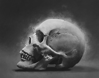 Skull Digital Painting - 2018