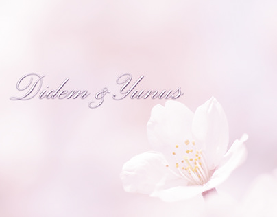 Didem& Yunus Wedding Ceremony