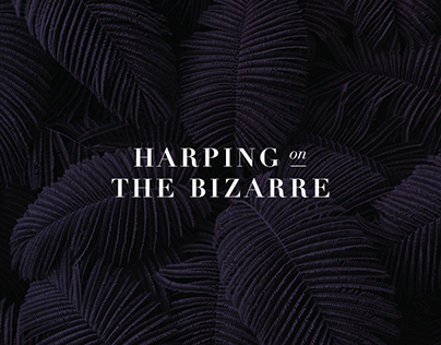 Harping On The Bizarre