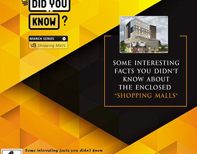 A Short History of Shopping Mall