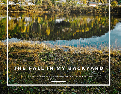 The fall in my backyard