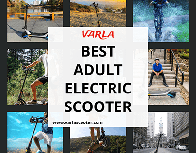 Find the best adult electric scooter
