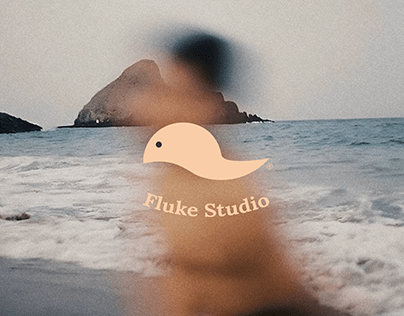 Fluke Studio® - Brand Identity