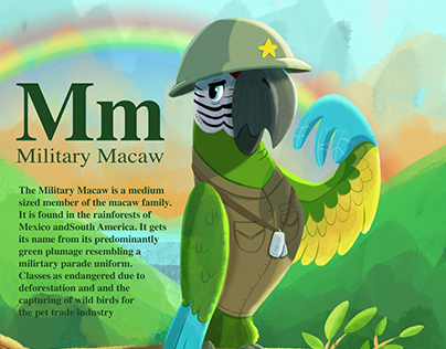 M is for Military Macaw