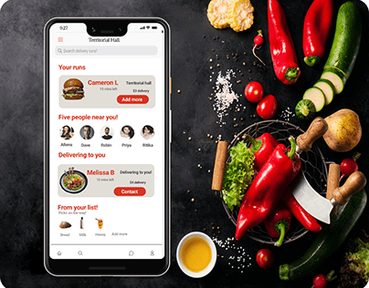 Food & Grocery delivery app