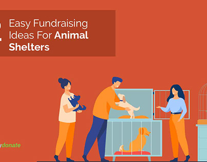12 Easy Fundraising Ideas For Animal Shelters