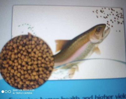 Floating Fish Feed Manufacturers and Exporters / AABT