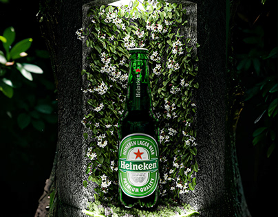Heineken 3D Products