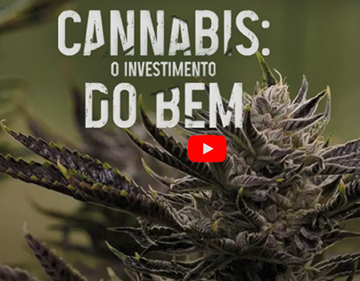 Cannabis: o investimento do Bem