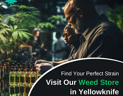 Perfect Strain: Visit Our Weed Store in Yellowknife