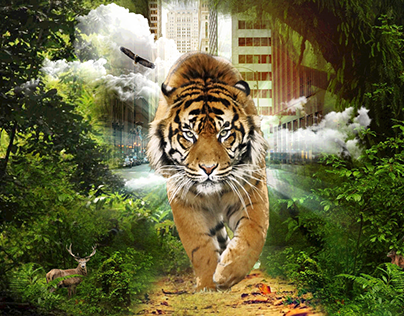Tiger in City - Manipulation