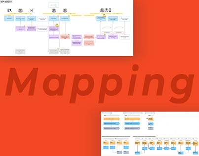 Financial Service Provider | Mapping & Service Design