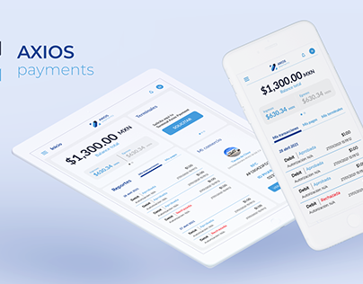 Axios Payment Responsive