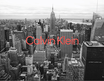 Calvin Klein X NYC