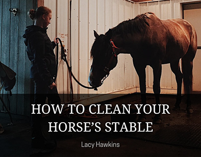 How to Clean Your Horse’s Stable