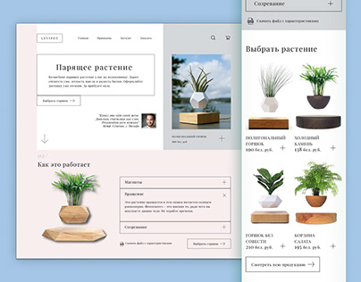 Дизайн сайта Парящие растения