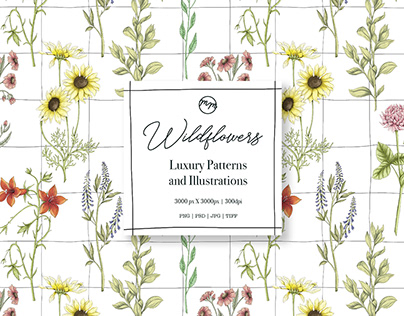 Wildflowers Luxury patterns and illustrations