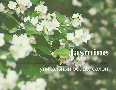 Jasmine | Daily UI #6