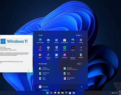 Tips to Change Windows 11 Desktop Background