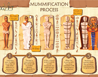 Mummification process infographic