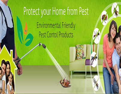Things To Keep In Mind Before Hiring A Pest Control