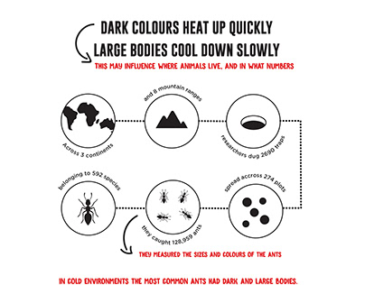 The Geography of Ant Colour and Size Infographic