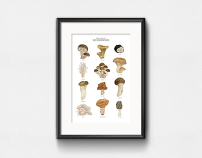 Mushrooms / Watercolor