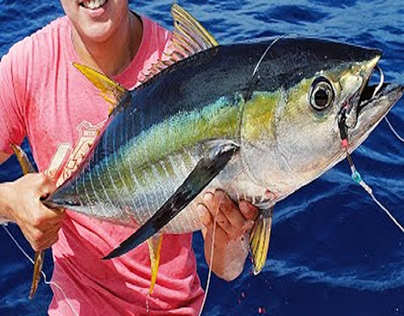 Four Tips For Catching The Big Yellowfin Tuna – Steve S