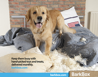 Barkbox - Campaign Ad