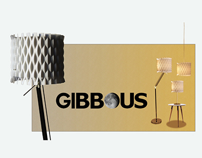 Gibbous Flat pack Lampshade