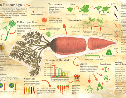 Infografia pastanaga