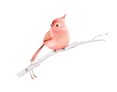 Raspberry Sorbet Bird 02
