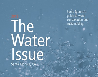 The Water Issue - 2015