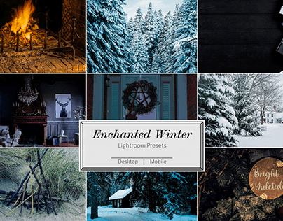 Enchanted Winter - 12 Pack Lightroom Presets