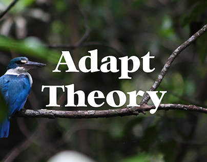 Adapt Theory — Parasitic Design Documentary