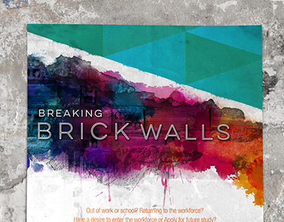 Breaking Brick Walls Initiative