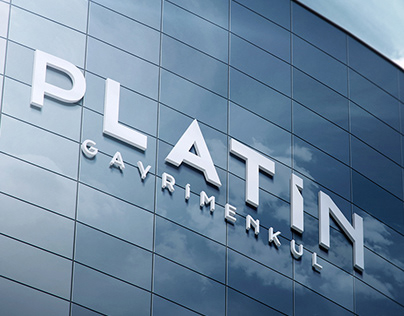 Platin Gayrimenkul Logo & Branding