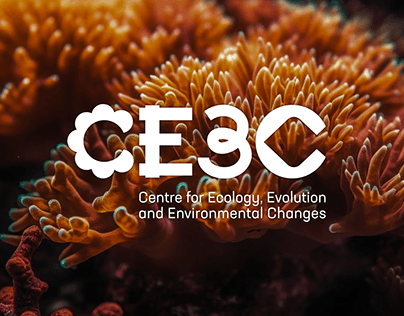 CE3C | Identity Proposal