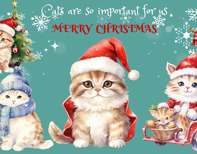 Cats and  Christmas day
