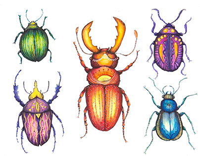 Ink and watercolor beetles