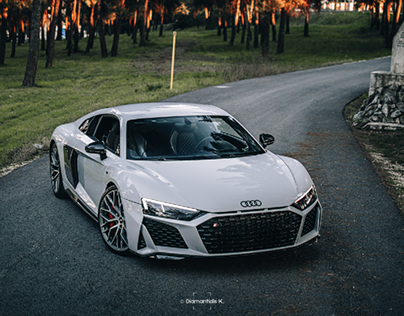 A Day with an Audi R8 V10+
