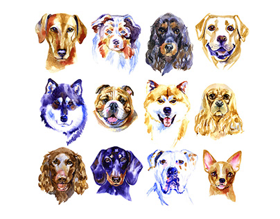 Dog breeds. Series of watercolor illustrations.