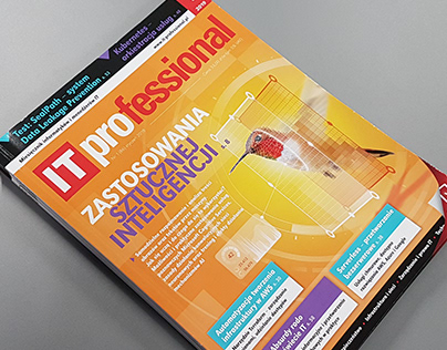 Layout of IT Progessional Magazine